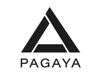 EJF Acquisition Corp. (EJFA) 股东批准与 Pagaya 的合并交易